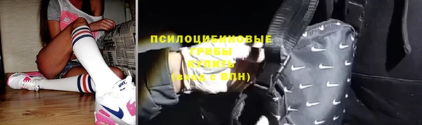 PSILOCYBIN Навашино