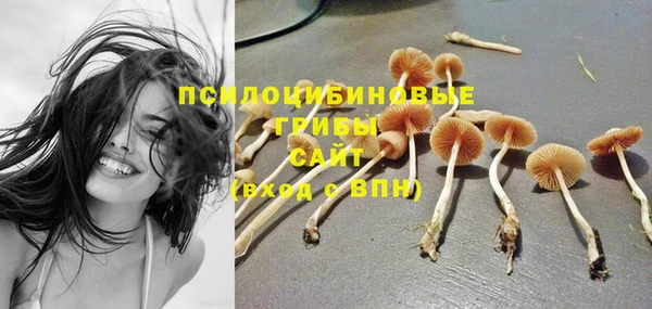 прущая мука Наволоки