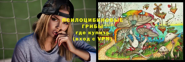 спиды Михайловск