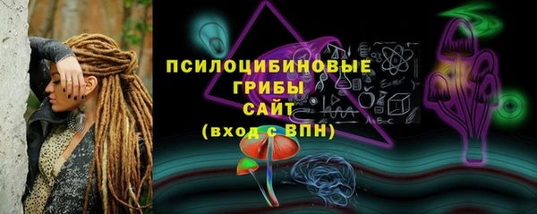 прущая мука Михайлов
