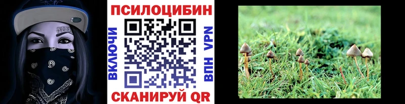 Купить закладки  Облучье  Галлюциногенные грибы мицелий 