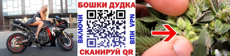 Шишки марихуана сатива  Купить закладки  Облучье 